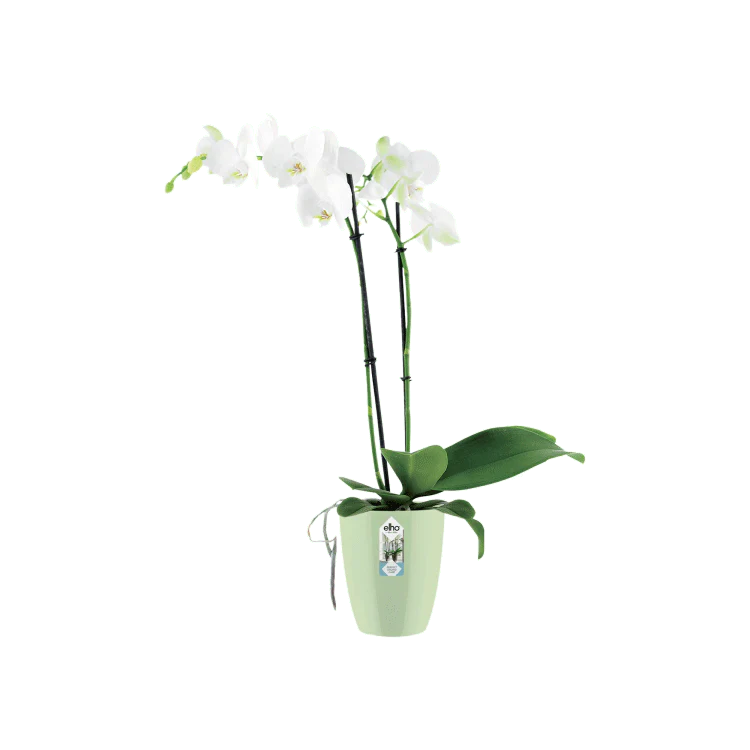 Produktbild 2