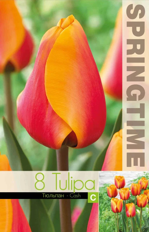 Produktbild 1