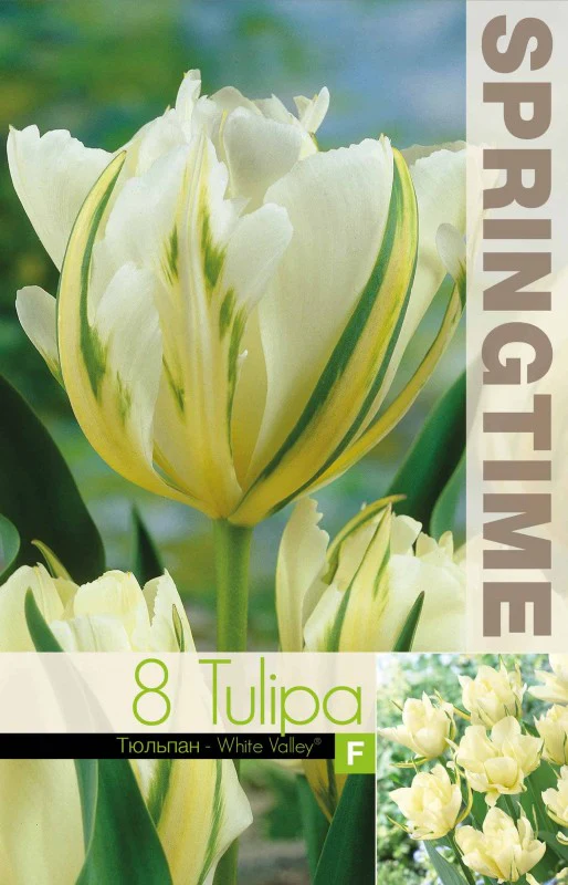 Produktbild 2