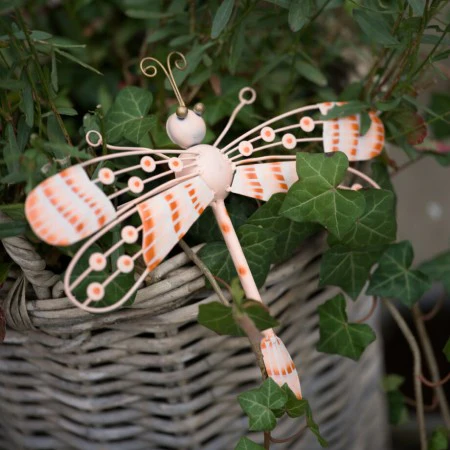 Miniatyrbild 1