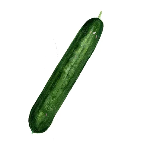 Miniatyrbild 1