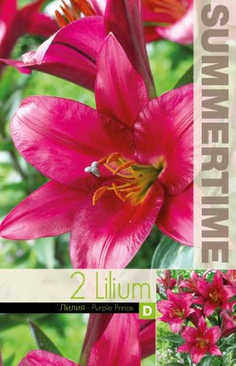 Miniatyrbild 1