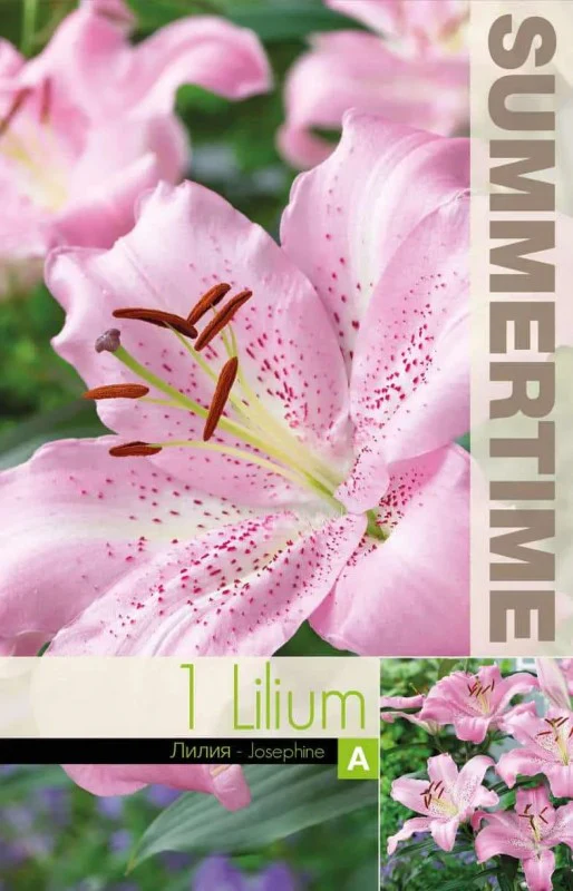 Miniatyrbild 1