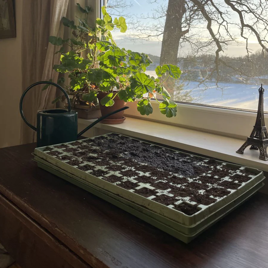Miniatyrbild 1