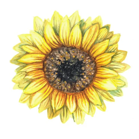 Miniatyrbild 1