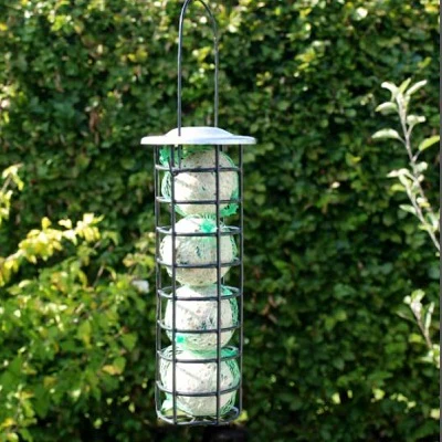 Miniatyrbild 1