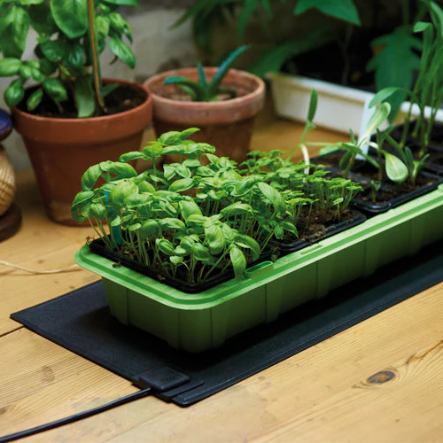 Miniatyrbild 2